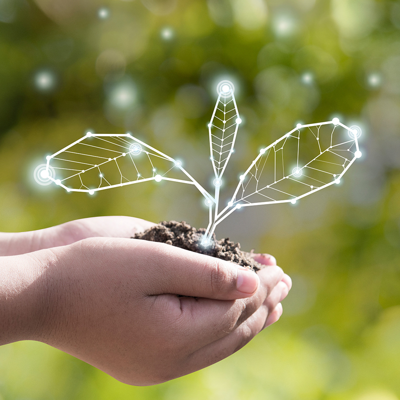 Hand hält Erde mit digitaler Pflanze