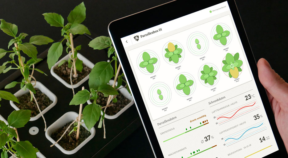 Eine App Anwendung steuert die Versorgung eines Kräutergartens