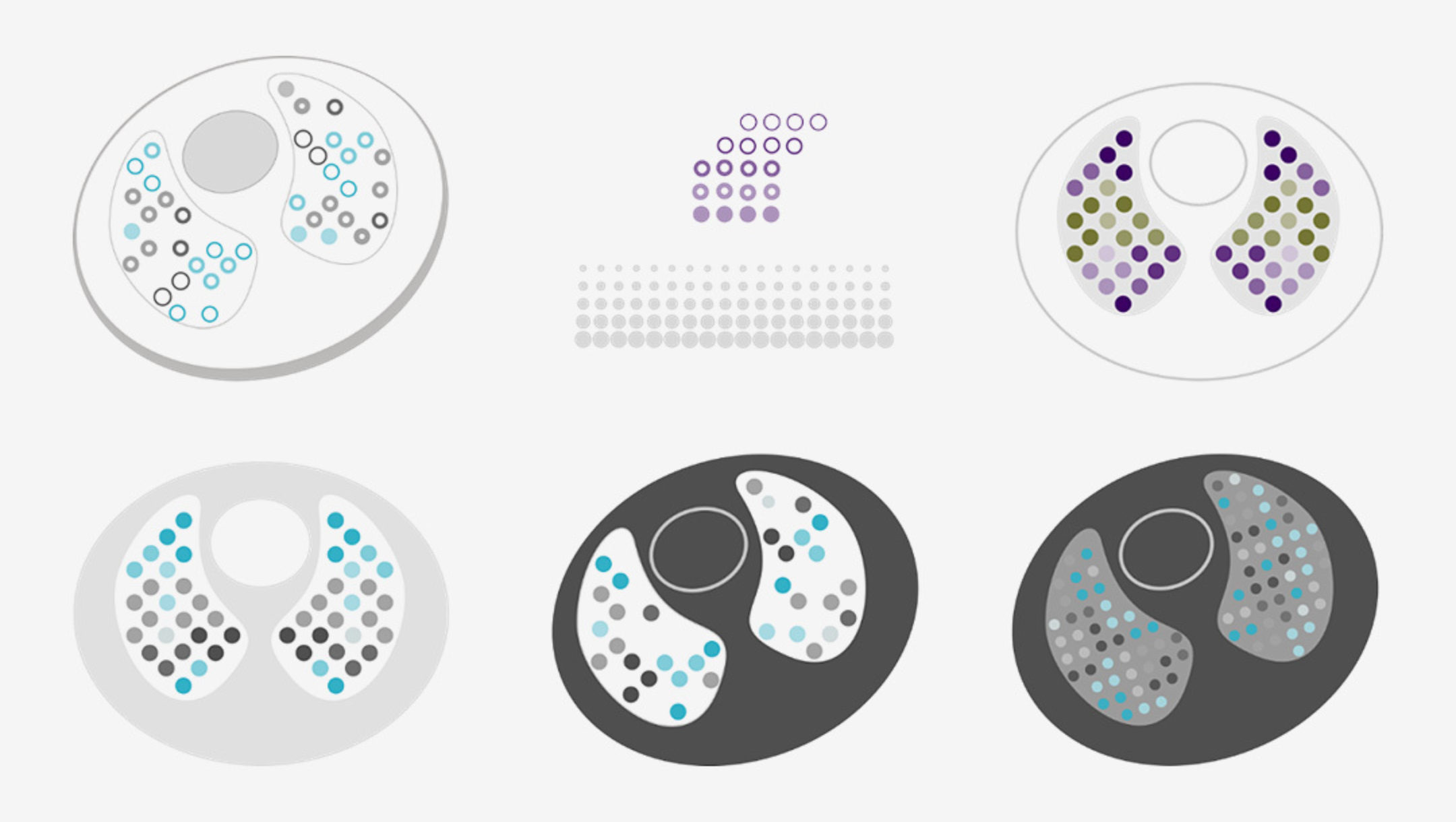 Swisstom visualisierung der Lungen-Parameter