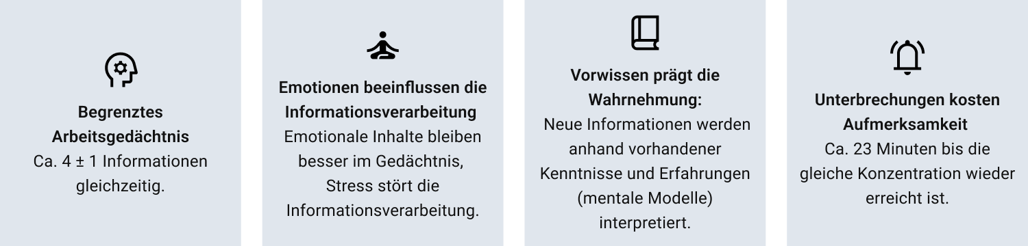 Infografik zu vier UX-Grundsätzen: Arbeitsgedächtnis, Emotionen, Vorwissen und Unterbrechungen im Kontext kognitiver Last